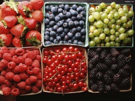 Produtos que podem ser armazenados em containers